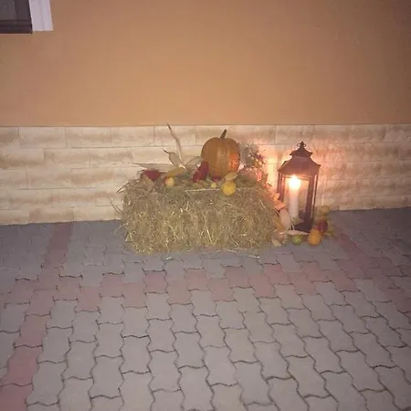 Vila Mara Affittacamere Sighişoara