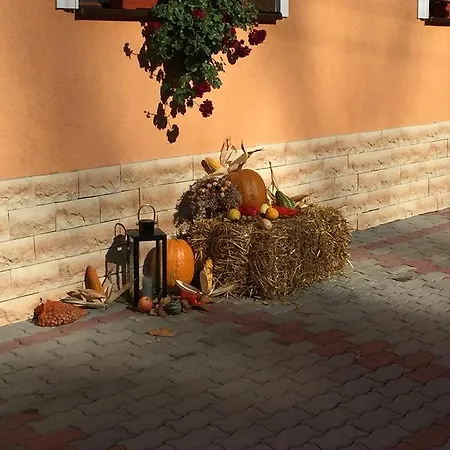 Vila Mara Sighişoara