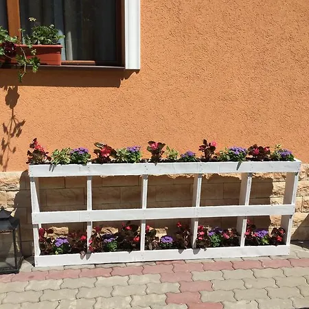 Vila Mara * Sighişoara